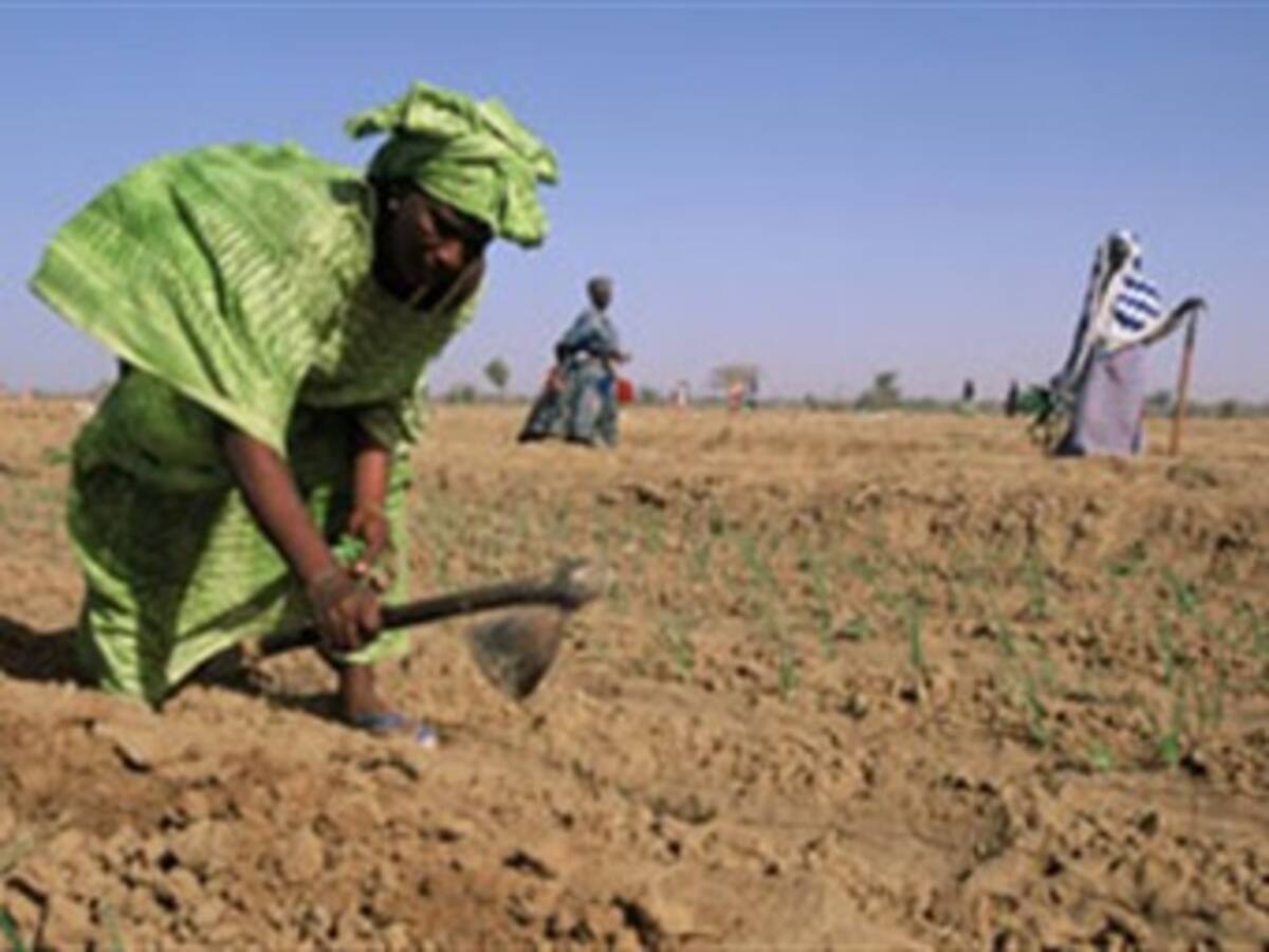 El G8 donará 12.000 millones de dólares para seguridad alimentaria