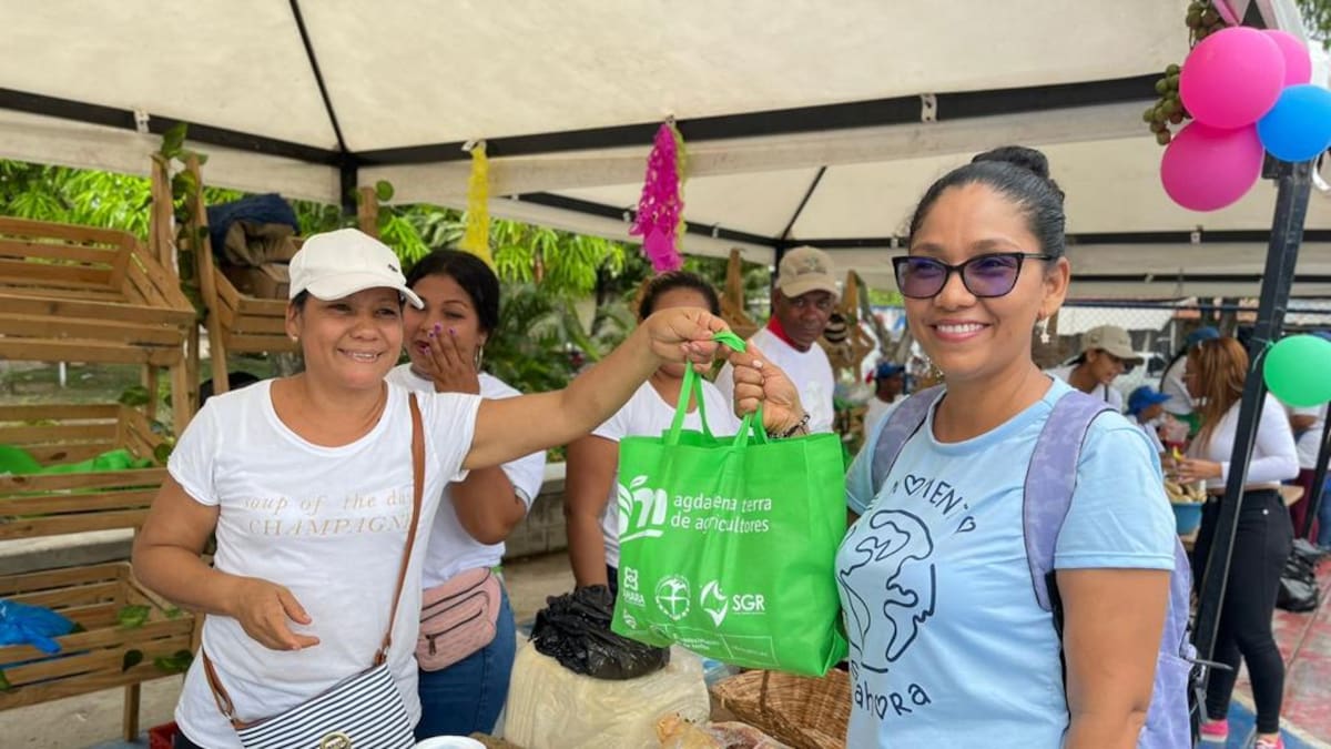 Cámara de Comercio confirma que en el Magdalena se han creado 1.970 empresas en el 2023