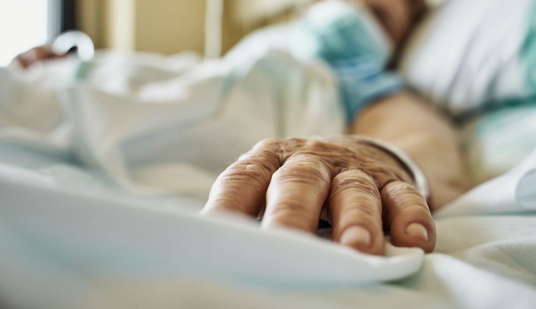 Imagen de referencia