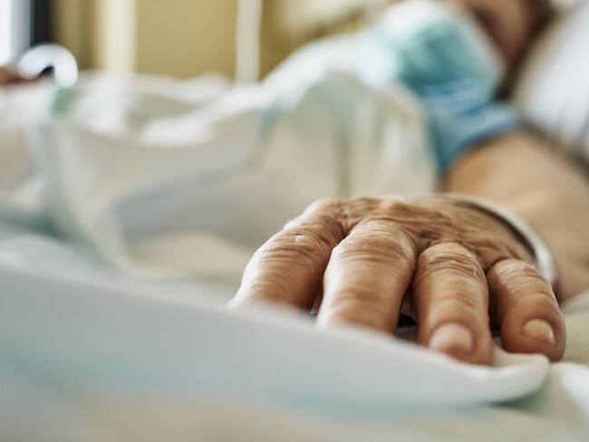 Imagen de referencia