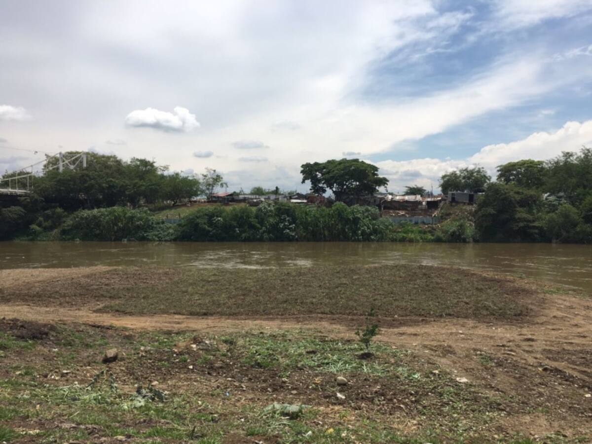Invasiones y basuras en canales de Cali causantes de contaminación del rio Cauca