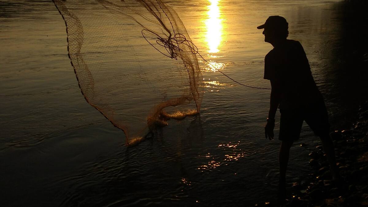 “Es alarmante que el país retroceda”: PGN sobre permisión de pesca de tiburones