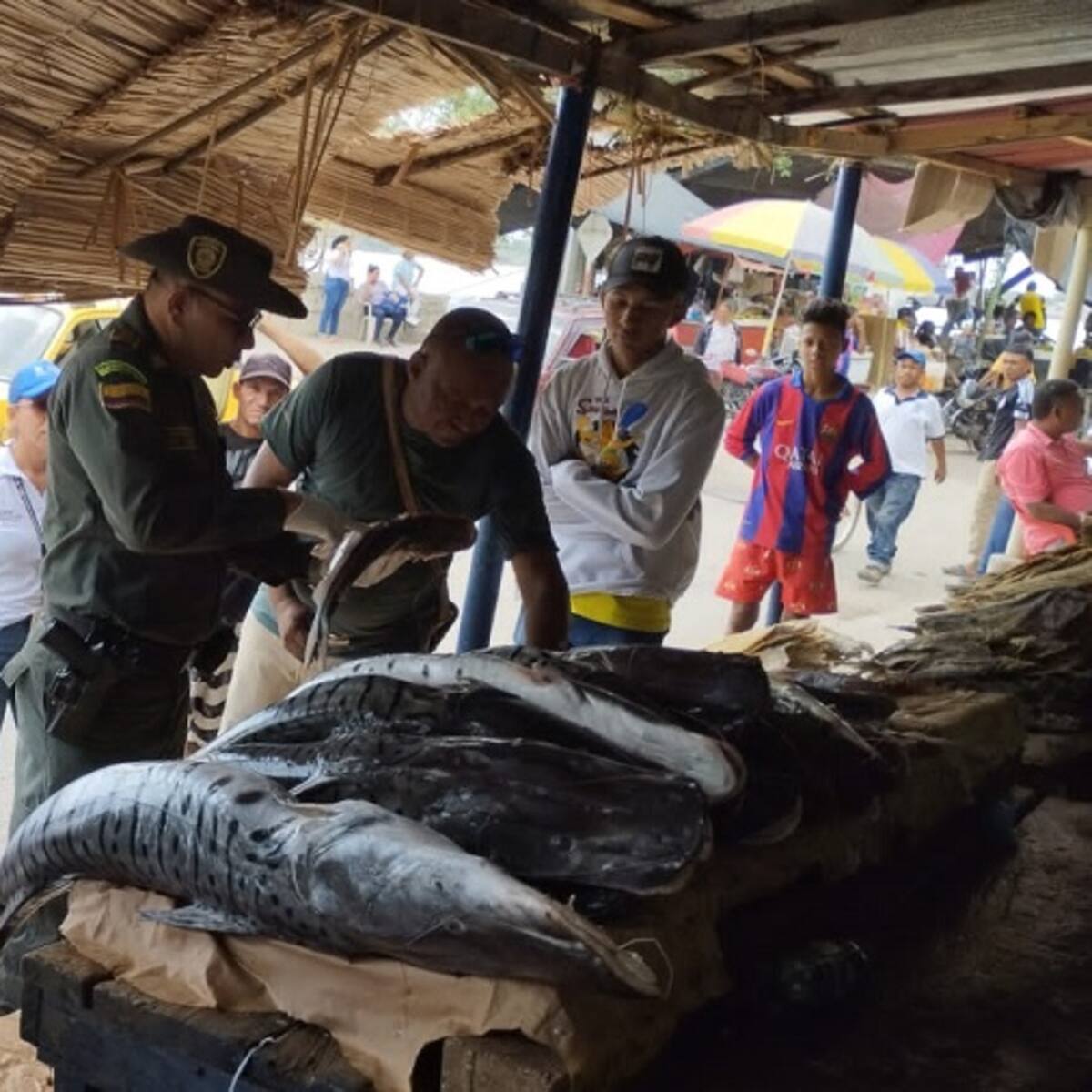 Policía Ambiental realiza operativos en puntos de venta de pescado en Bolívar