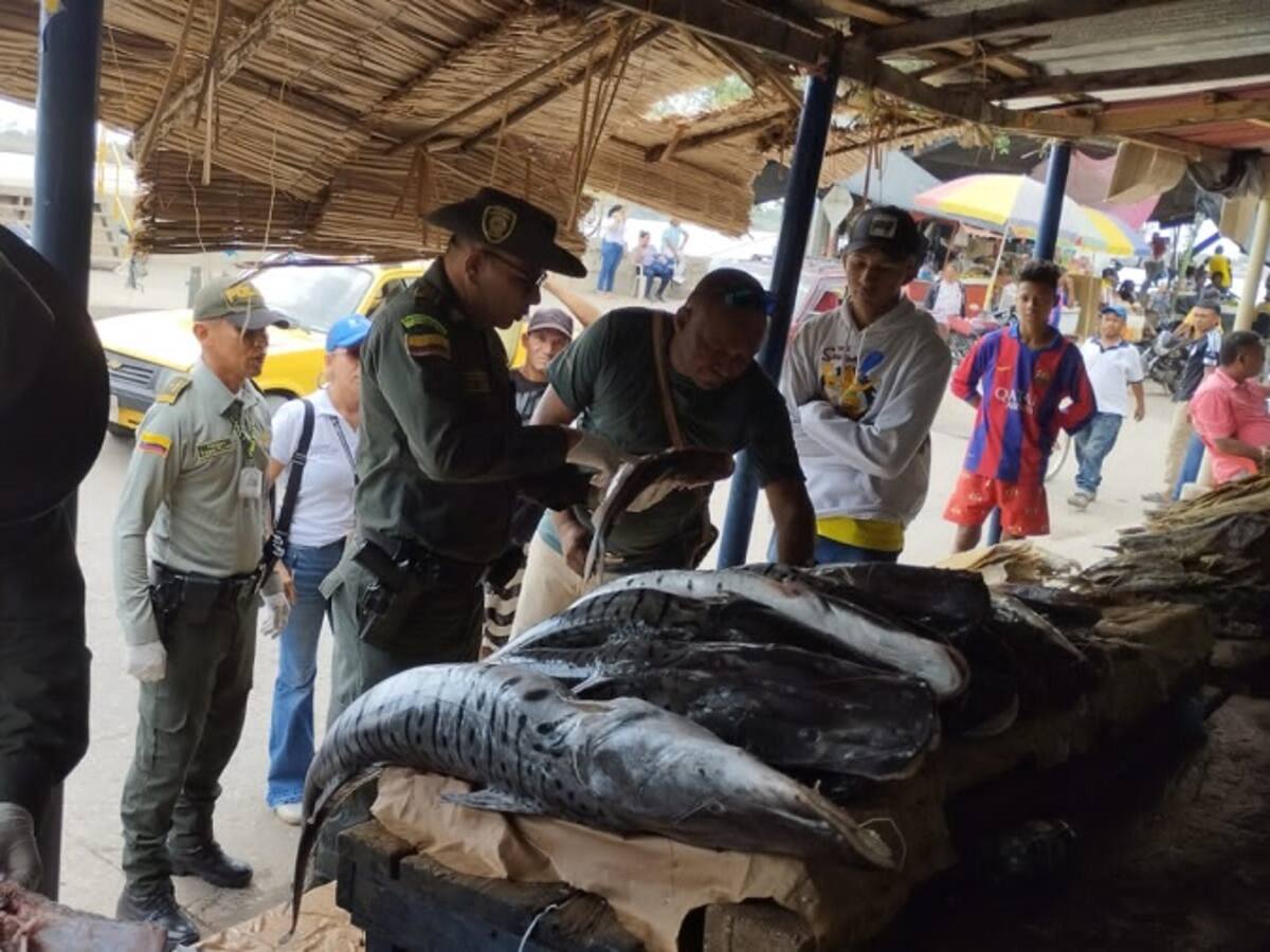 Policía Ambiental realiza operativos en puntos de venta de pescado en Bolívar