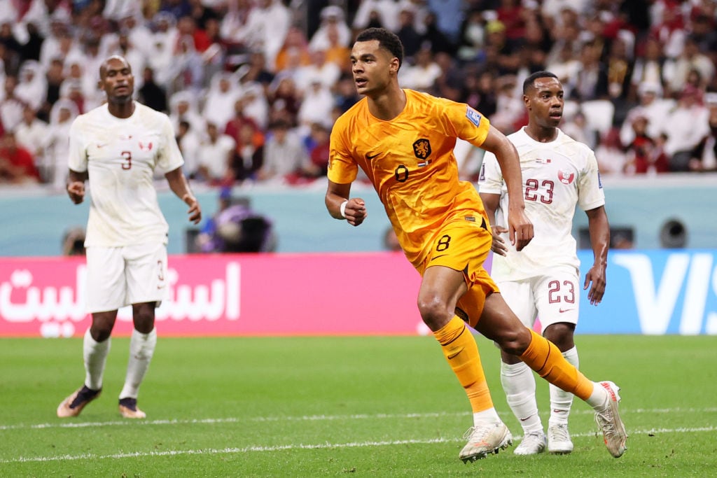 Cody Gakpo celebra el gol de Países Bajos (Photo by Catherine Ivill/Getty Images)