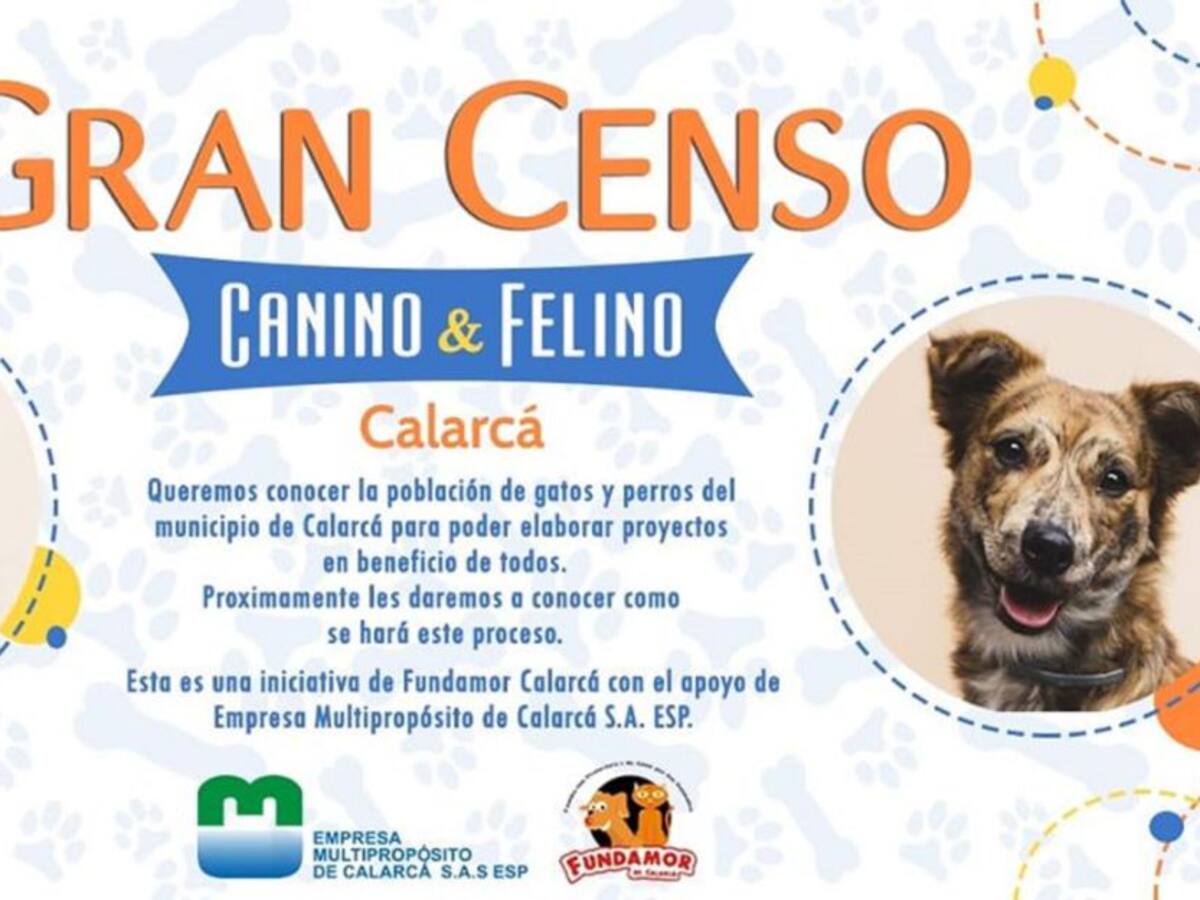 Censo de caninos y felinos se llevará a cabo en Calarcá