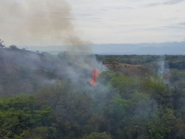 Incendios forestales siguen azotando al Tolima