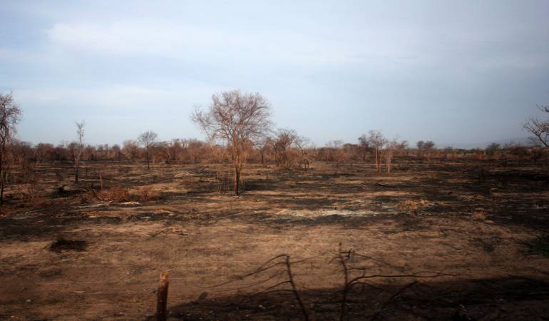 Sequía en Colombia.