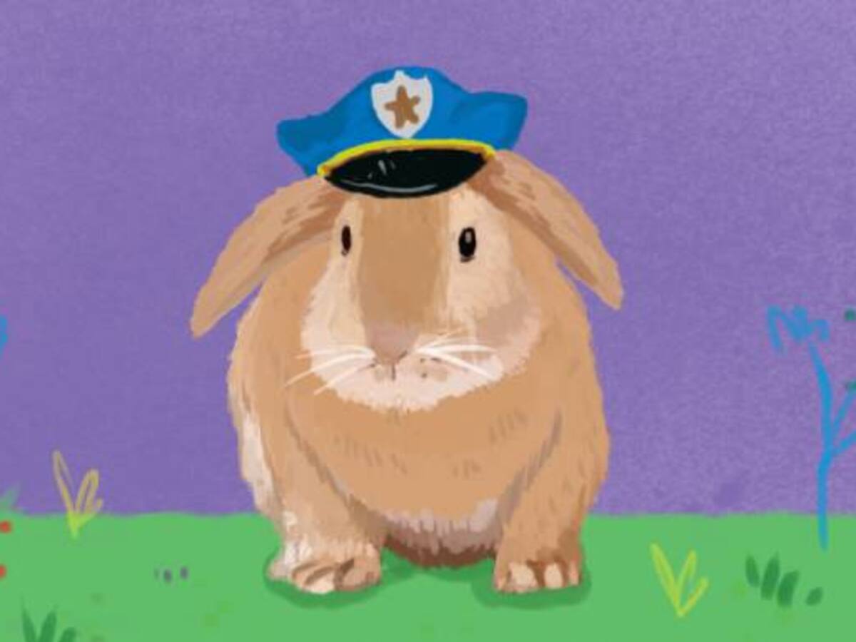 Conejos y policías: cómo engordamos