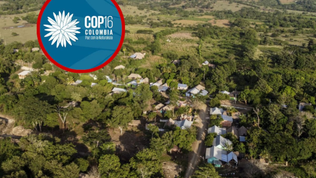 El bosque seco, los humedales y manglares de Sucre rumbo a la COP16