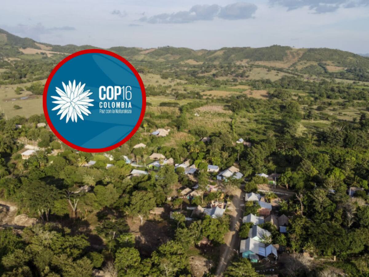 El bosque seco, los humedales y manglares de Sucre rumbo a la COP16