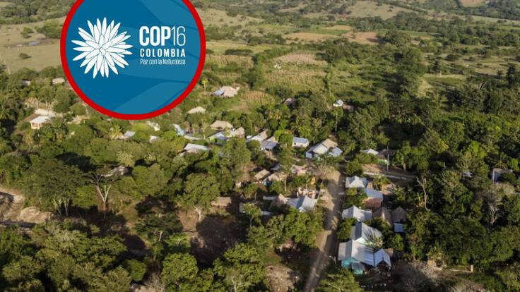 El bosque seco, los humedales y manglares de Sucre rumbo a la COP16