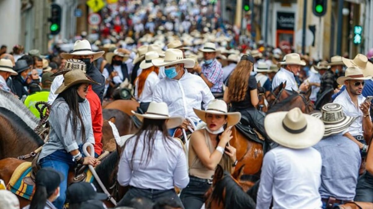 Senadora, Andrea Padilla