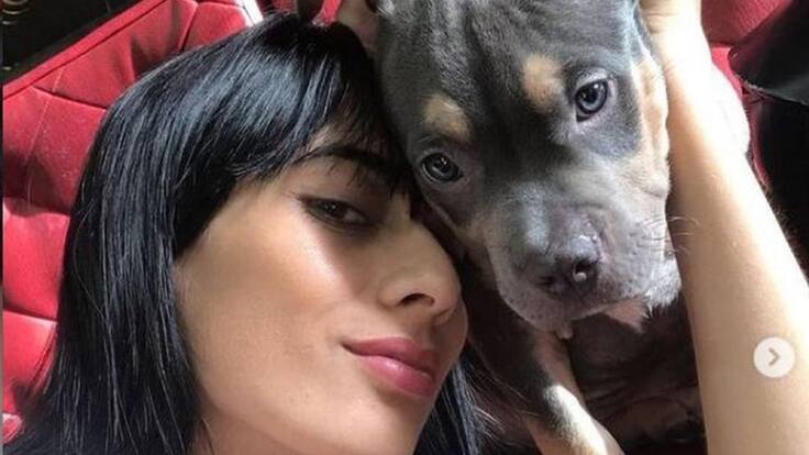 "EasyFly no dejó que Homero viajará en cabina, me lo entregaron muerto"