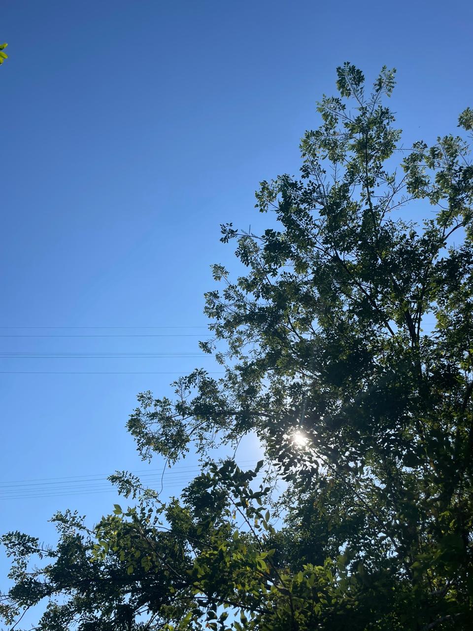 Armenia soleado- cortesía ciudadanos