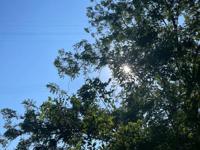 Armenia soleado- cortesía ciudadanos