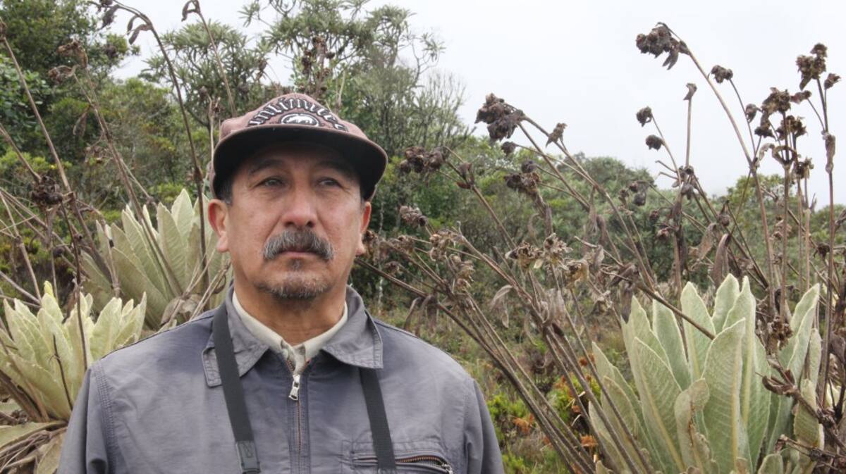 Roberto Sánchez, biólogo de la Universidad Nacional, es uno de los que más conoce las plantas del páramo de Santurbán, en especial las 18 especies de frailejones que alberga. En el Herbario Catatumbo-Sarare de la Universidad de Pamplona, el cual dirige, las estudia detalladamente, trabajo que le ha permitido descubrir nuevas especies. 