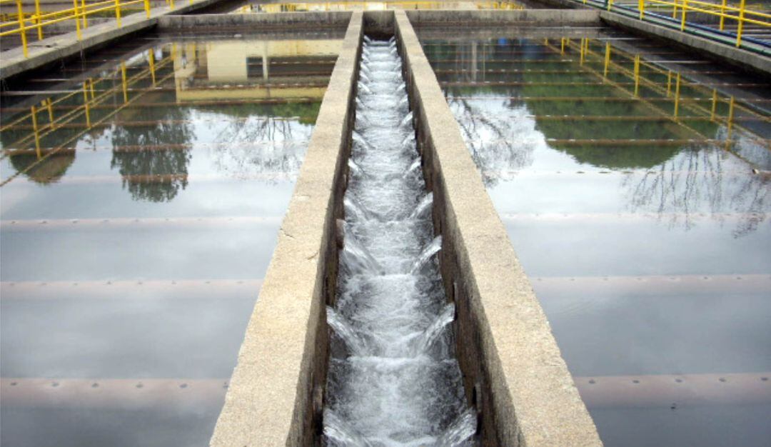 Imagen de referencia