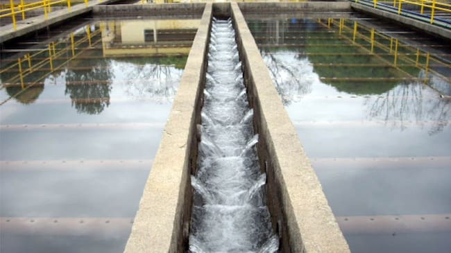 Imagen de referencia