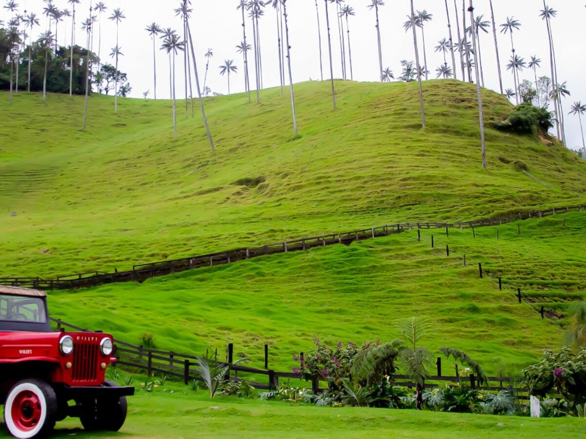 99,8% de los turistas volverían y recomendarían el departamento del Quindío