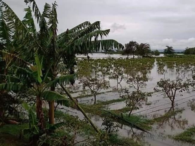 Gobierno seccional hizo un llamado a los productores del departamento para que reporten las afectaciones. 
