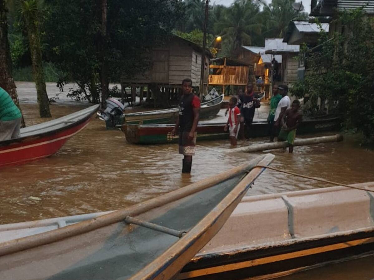 Alertan por un brote de malaria en la Costa Pacífica del Cauca