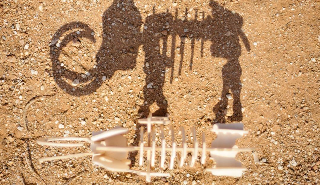 ¡Asombroso! Encuentran restos de mastadonte de 10.000 años en el río Cauca