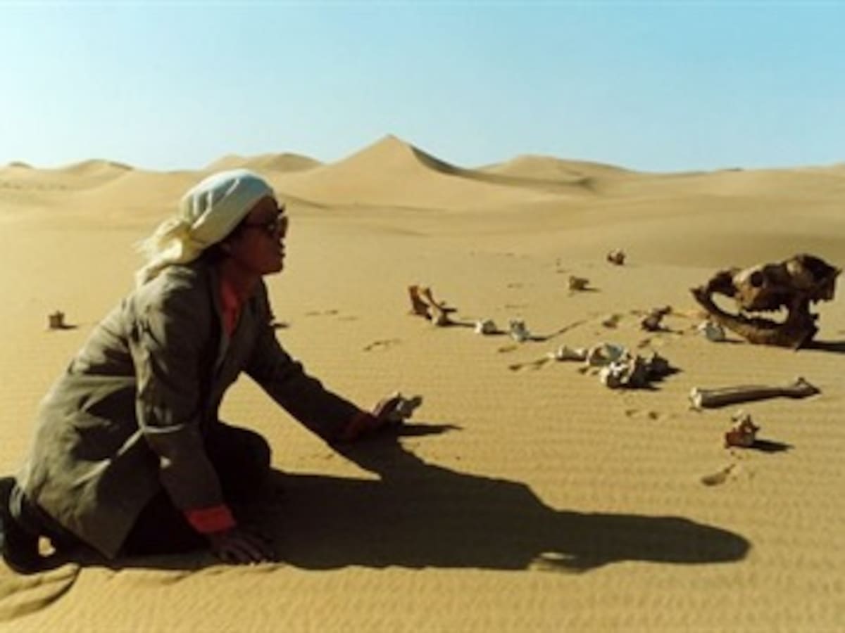 DÍA DE LA DESERTIZACIÓN: Más de 1.000 millones de personas que habitan zonas desérticas viven en la pobreza.