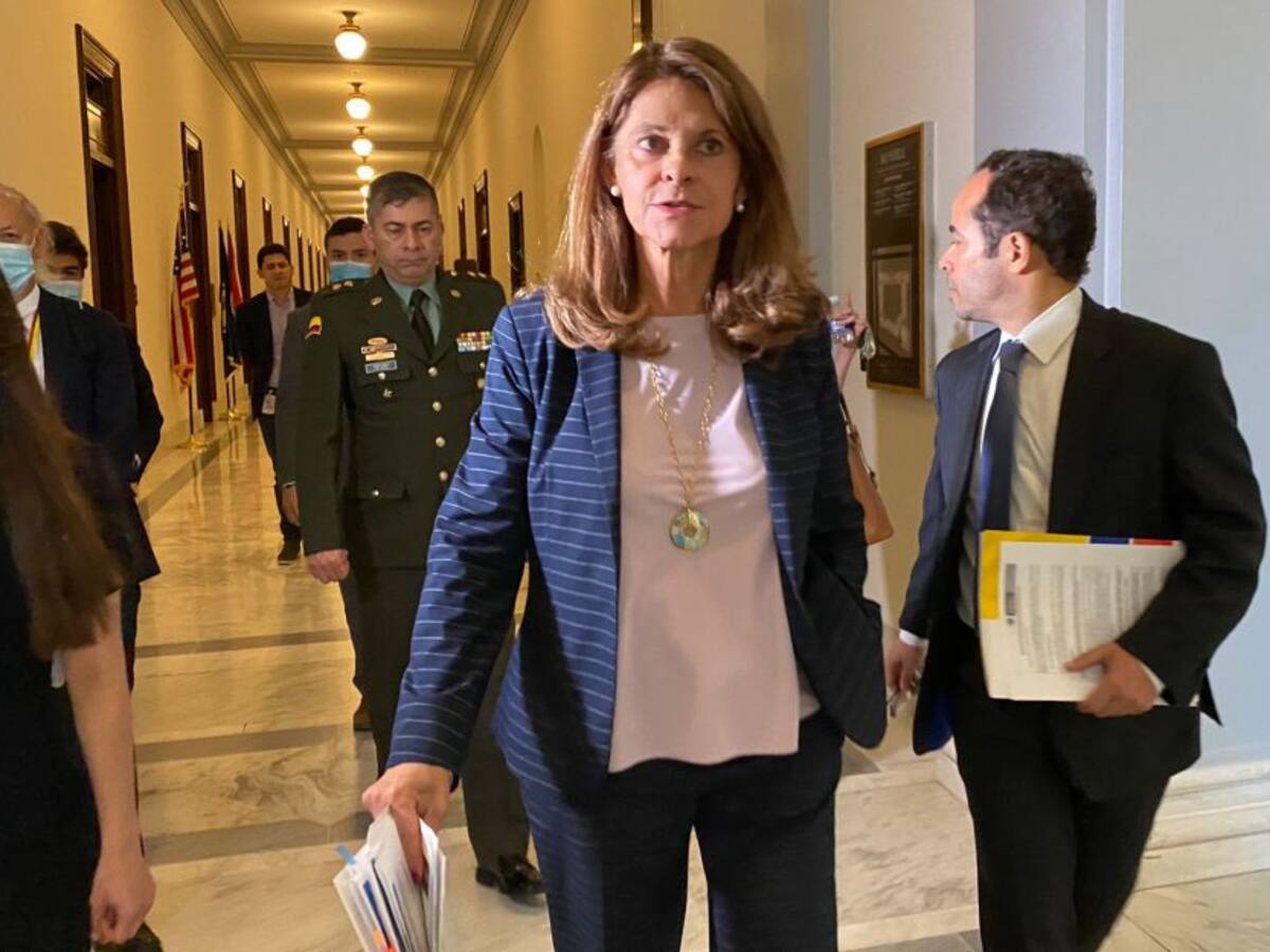 Las cartas de la Canciller a la OEA y la CIDH para que visiten Colombia