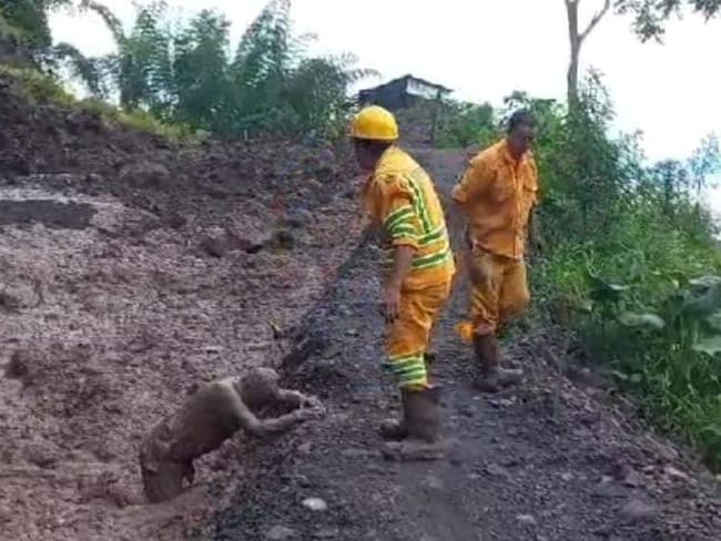 En la vereda Pénjamo del municipio de Otanche (Boyacá), se presentó el deslizamiento de tierra que dejó tres personas sepultadas / Foto: Suministrada.