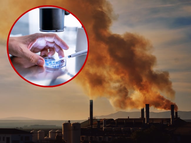 Imagen de referencia, foto Gettyimages y Canva.