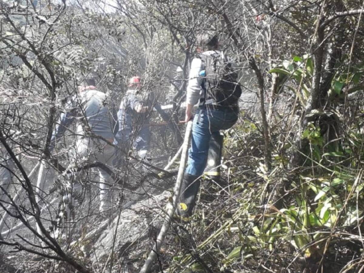 Ofrecen millonaria recompensa por provocadores de incendios en Tenjo