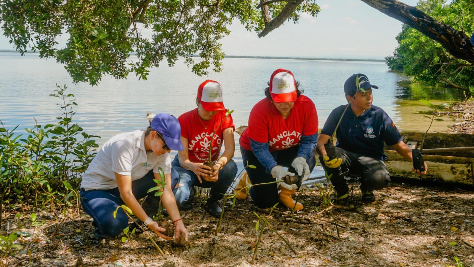 Alcaldía de Cartagena