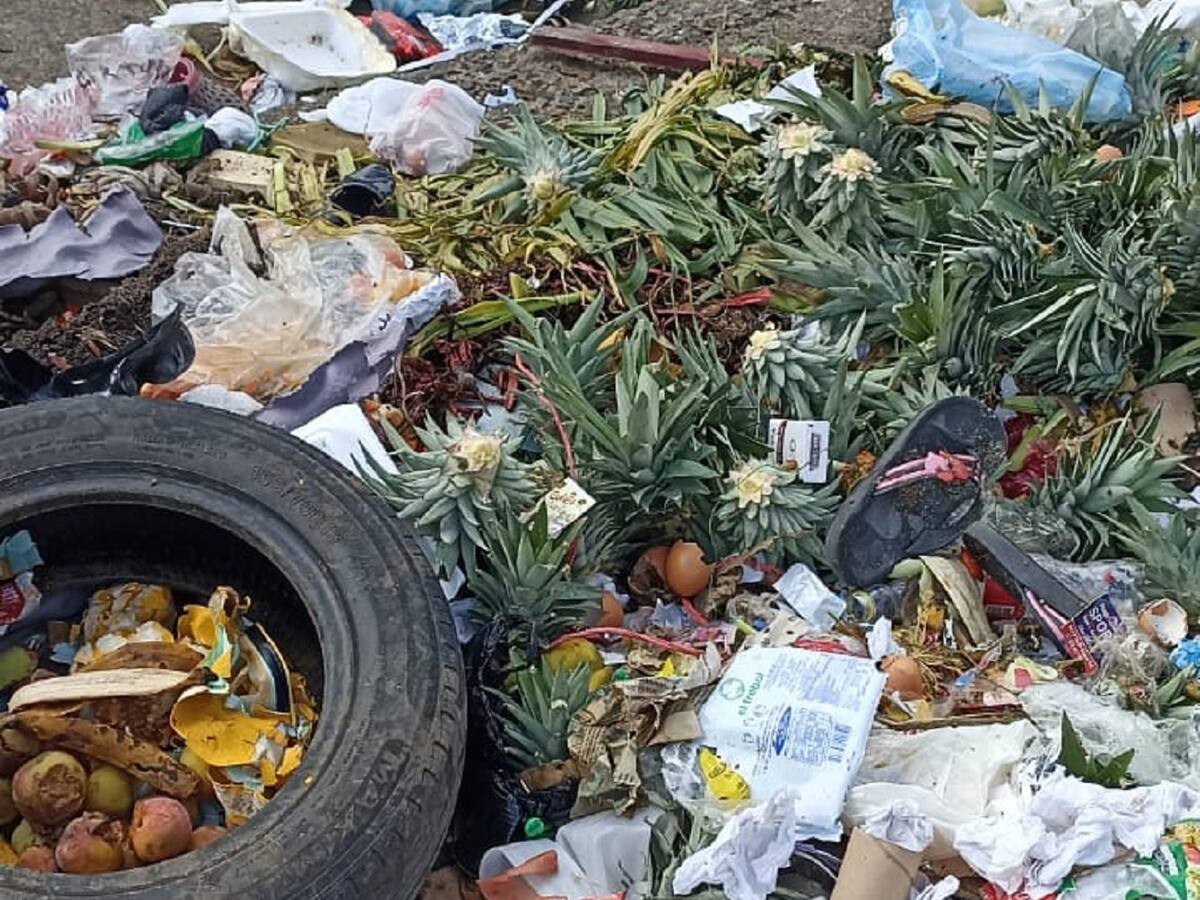 ICA sigue ejerciendo vigilancia a proliferación de moscas en Ibagué
