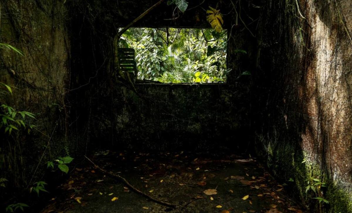La naturaleza reclama su territorio y se instala en las ruinas de lo que alguna vez fue un temido lugar de reclusión en el Pacífico colombiano.