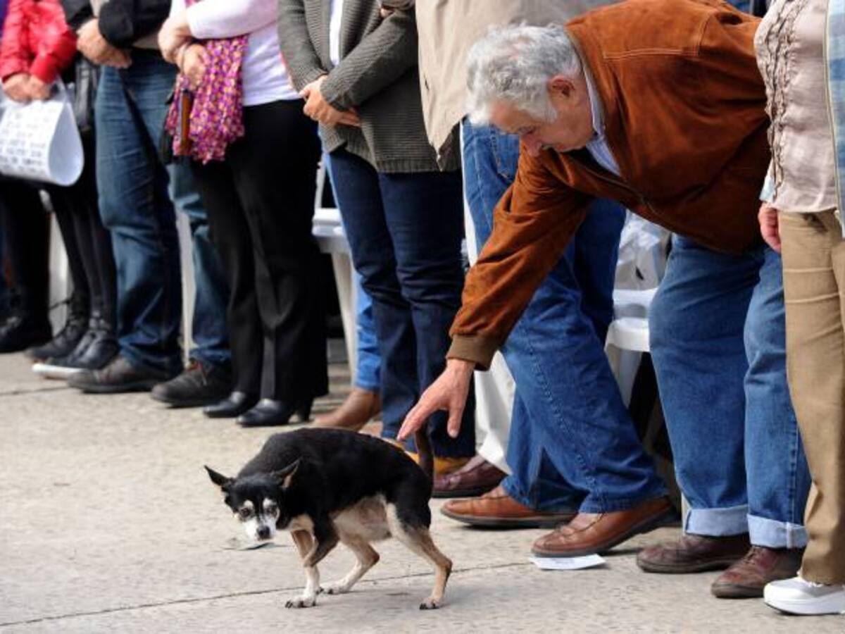 Fallece Manuela, la inseparable mascota de José Mujica
