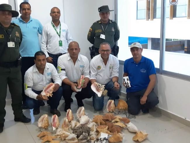 Policía Ambiental y EPA incautan mercancía en San Andresito de Cartagena