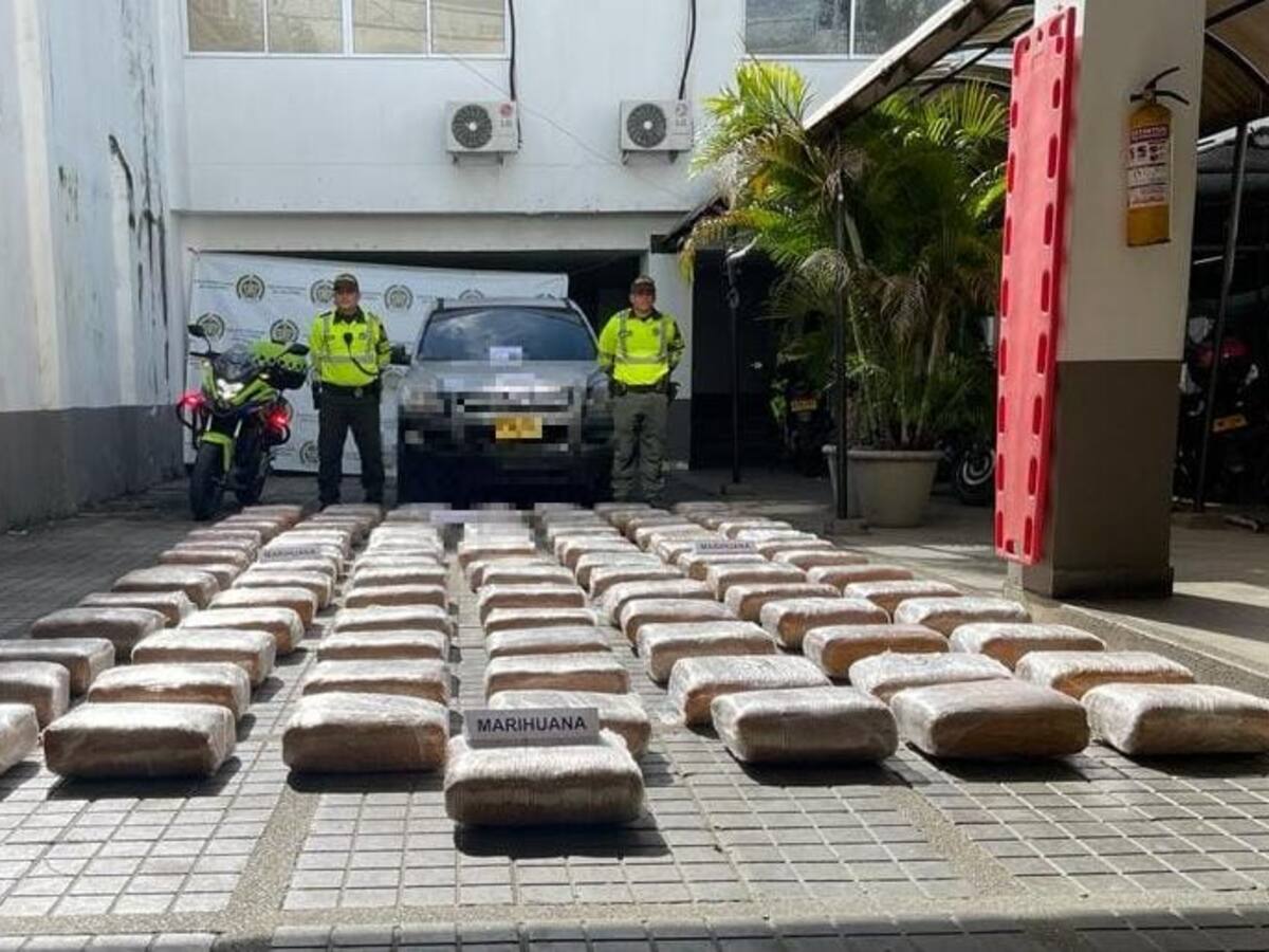 Incautan cargamento de marihuana en la vía Ibagué -Bogotá