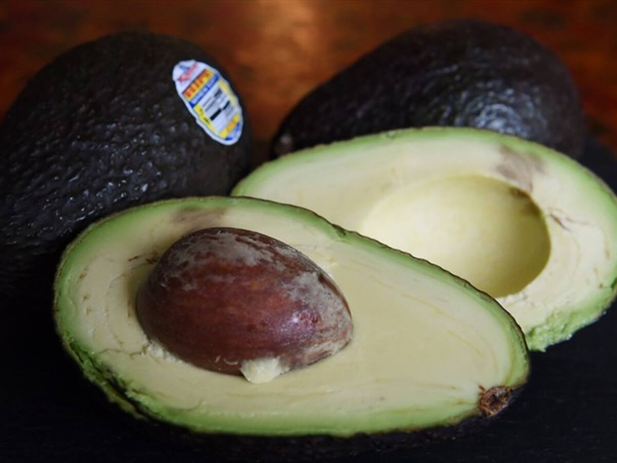 Puerto de Barranquilla recibió el aval para exportar aguacate hass a los Estados Unidos