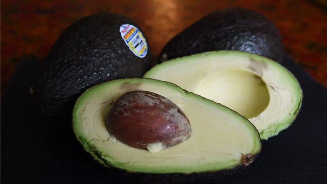 El Instituto Colombiano Agropecuario (ICA) avaló a la sociedad Puerto de Barranquilla para realizar exportaciones de aguacate hass con destino a los Estados Unidos. Foto: Getty Images