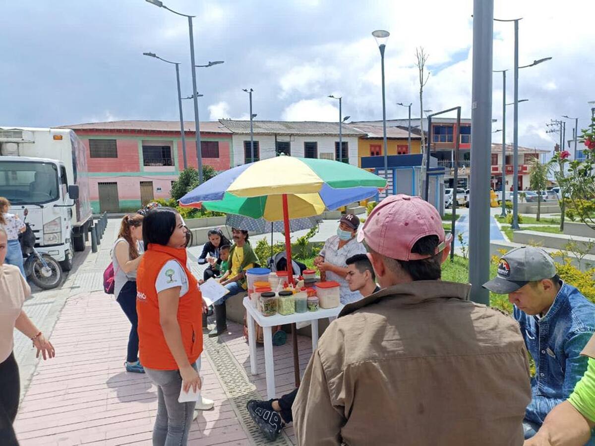En el Tolima tendrían que evacuar 185 familias de la zona de riesgo del Nevado del Ruiz
