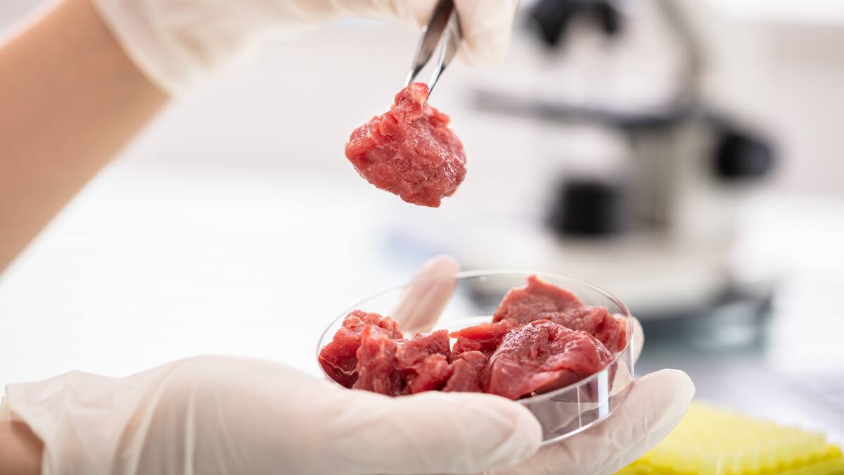 Agricultura celular se concerá como la carne del futuro: Eirc Schulze de Upside
