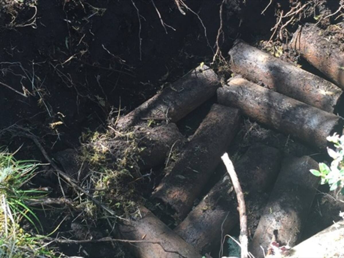 Ejército asegura que frustró nuevos ataques con explosivos de las Farc