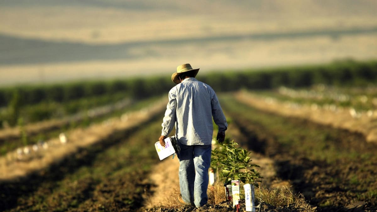 Alianza para trabajar contra el hambre firman la FAO y Agrosavia