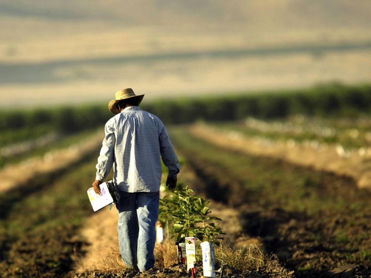 Los países vulnerables pagan más dinero por menos comida