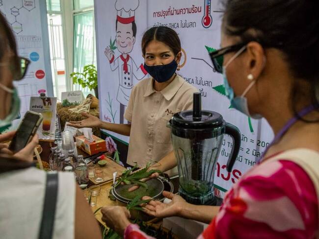 Centro de producción y distribución de medicinas a base de marihuana en Tailandia.              Foto: Getty 