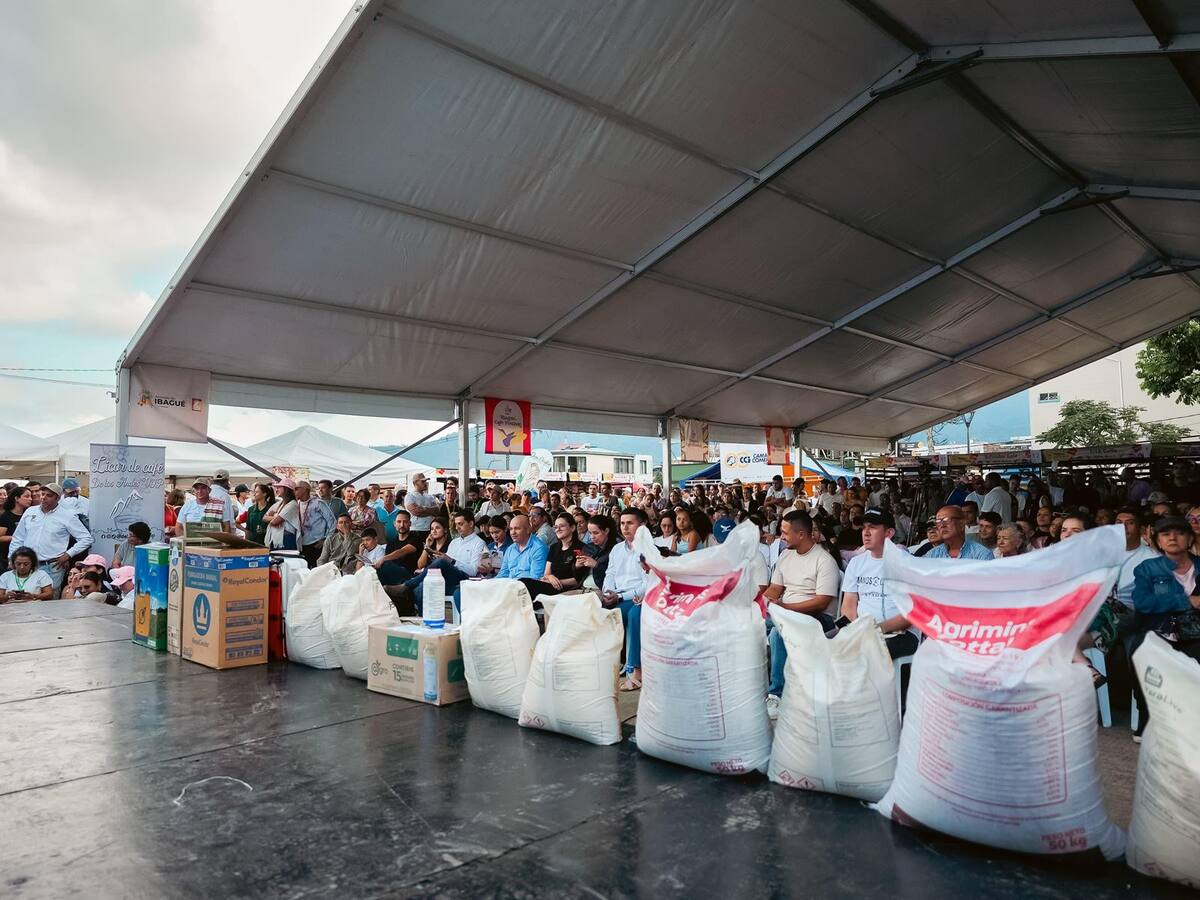 Buscan los mejores microlotes para que participen en el Ibagué Café Festival