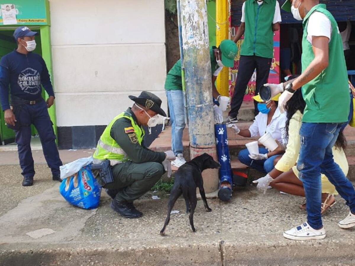 Policía instala comedor improvisado para perros en María La Baja, Bolívar