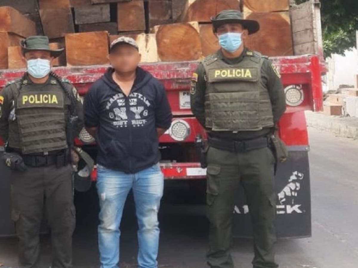 En Cartagena policía incautó 23 aves y varias toneladas de madera