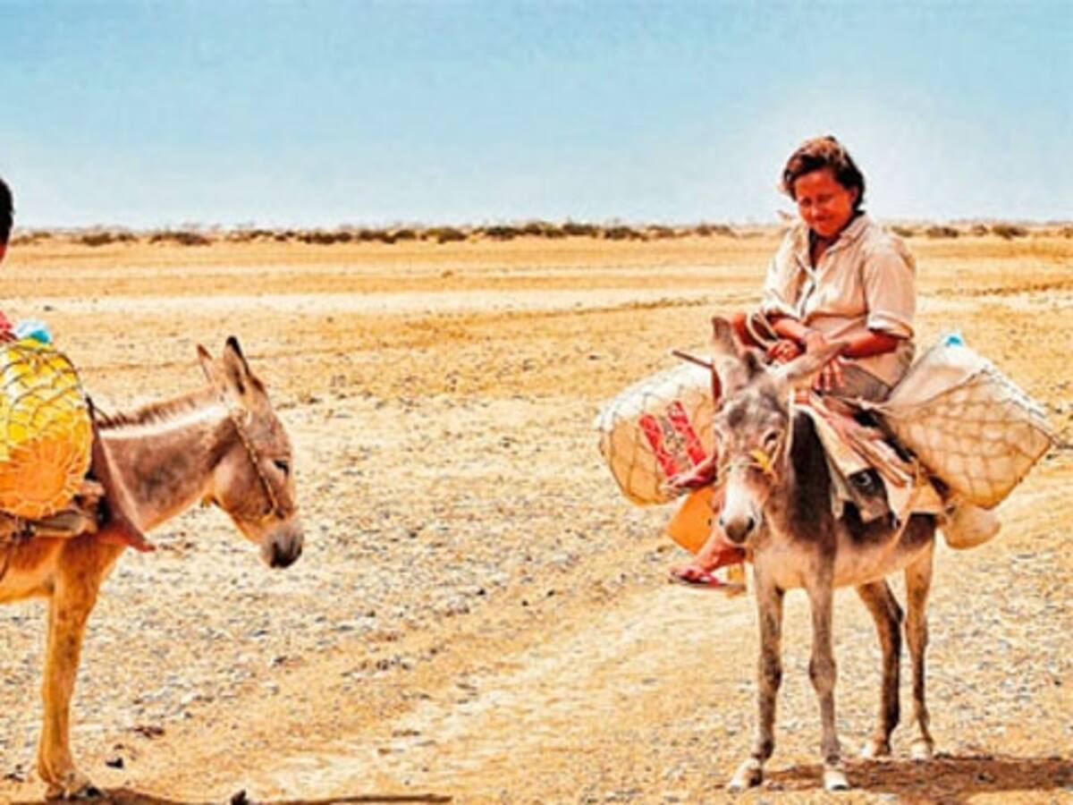 No basta con la excavación de pozos para solucionar problema de agua: FAO